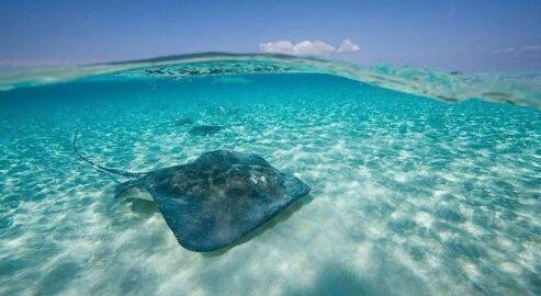 什么是離岸公司,離岸公司有什么優(yōu)缺點(diǎn)？