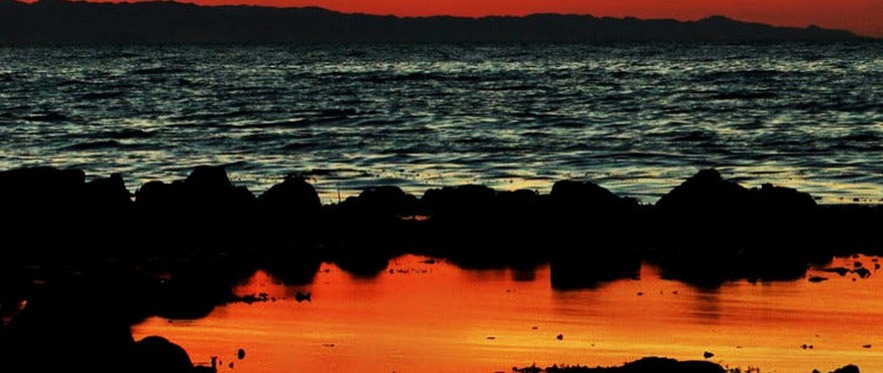 2025馬紹爾公司注冊全指南，流程、優(yōu)惠與實用價值（小白一看就懂）